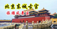 把黑丝老师狂草到高潮喷水中国北京-东城古宫旅游风景区